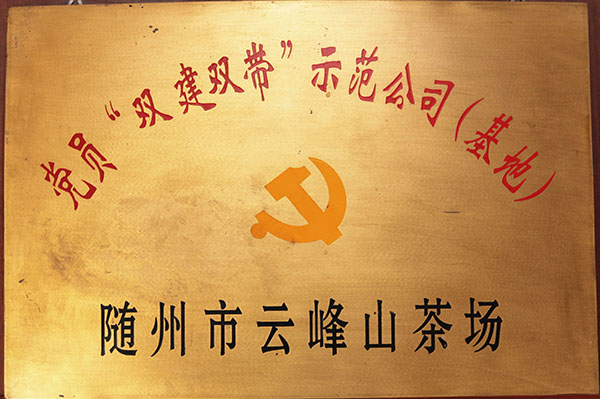 62 雙建雙帶示范公司.JPG 62 雙建雙帶示范公司.JPG